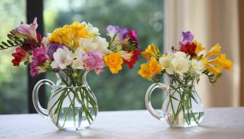 Top 10 des types de fleurs qui restent longtemps dans le vase!