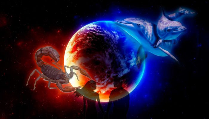 Compatibilité de signe Scorpion + Poissons dans l'amour et l'amitié