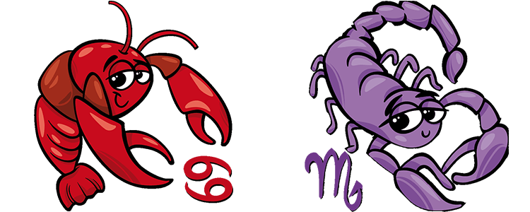 Compatibilité signe Scorpion + Cancer dans l'amour et l'amitié