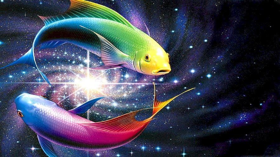 Compatibilité de signe Poissons + Poissons dans l'amour, l'amitié et le travail