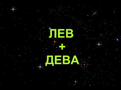 Compatibilité signe Leo + Virgo dans l'amour et l'amitié