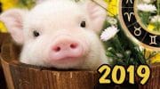 Horoscope pour 2024 par signes du zodiaque et année de naissance