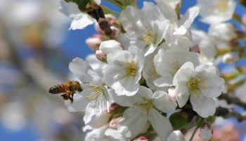 Tout sur les vacances: le 1er mai!