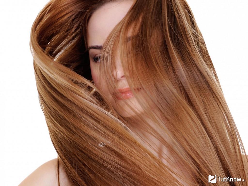 Qu'est-ce que le Botox pour les cheveux (30 photos avant et après)