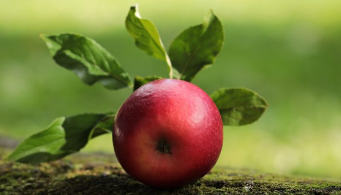 A quoi servent les pommes?