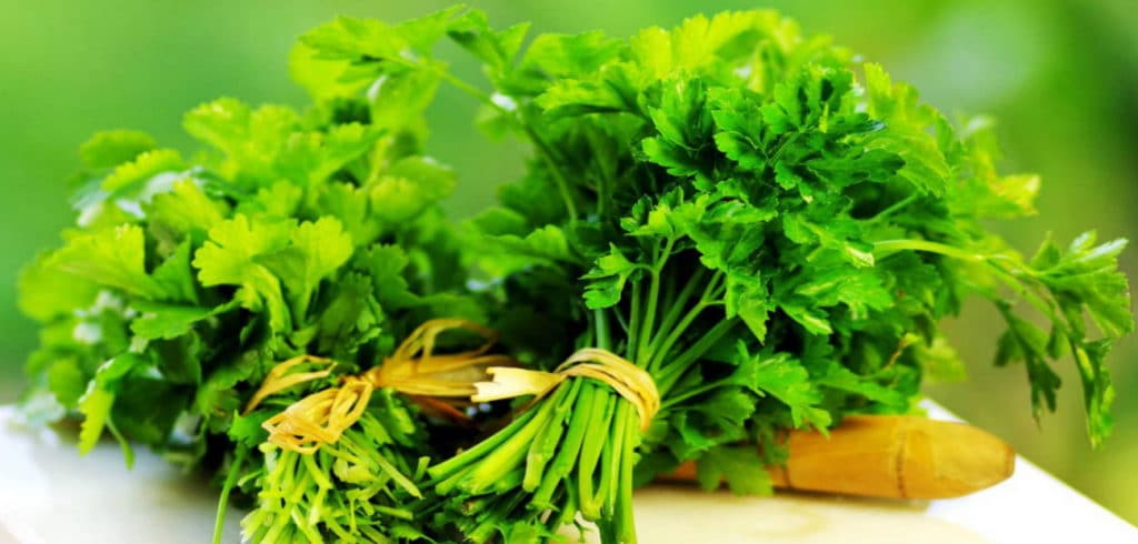 10 types de verdure pouvant être plantés dans le jardin